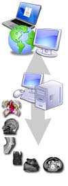diginet server